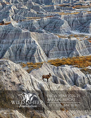 WSF Annual Report FY20-21 Cover by Victor Trujillo